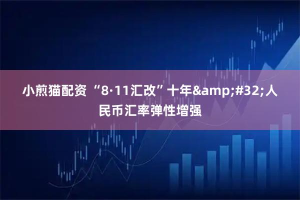 小煎猫配资 “8·11汇改”十年&#32;人民币汇率弹性增强