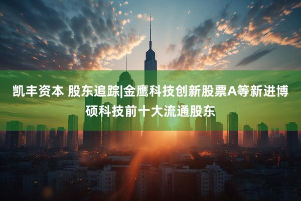 凯丰资本 股东追踪|金鹰科技创新股票A等新进博硕科技前十大流通股东