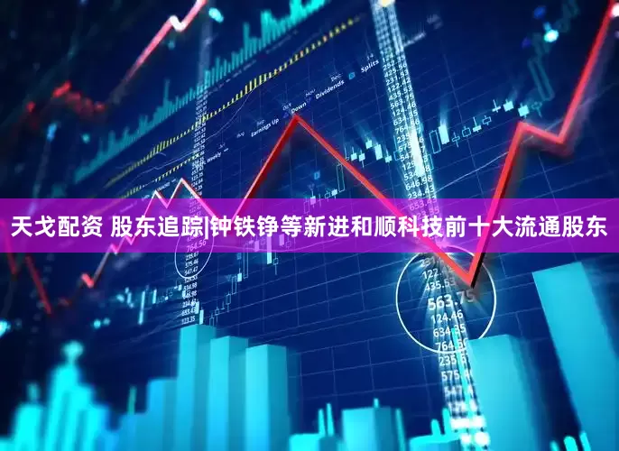 天戈配资 股东追踪|钟铁铮等新进和顺科技前十大流通股东