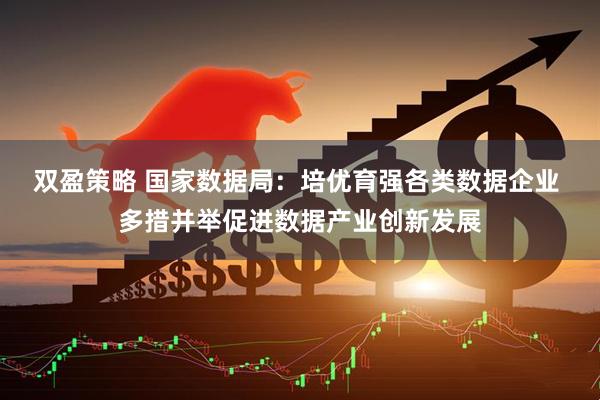 双盈策略 国家数据局：培优育强各类数据企业 多措并举促进数据产业创新发展