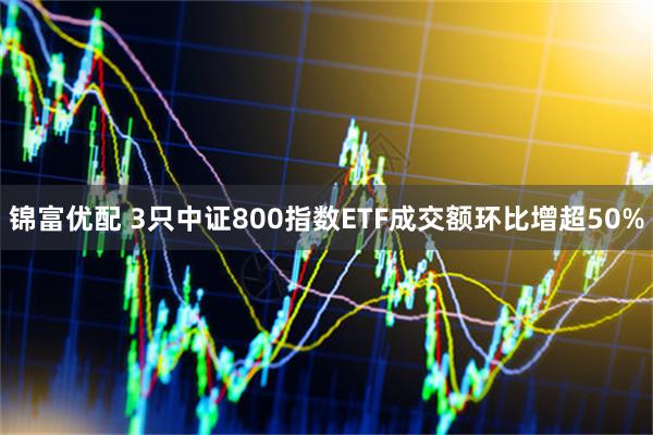 锦富优配 3只中证800指数ETF成交额环比增超50%