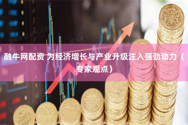融牛网配资 为经济增长与产业升级注入强劲动力（专家观点）