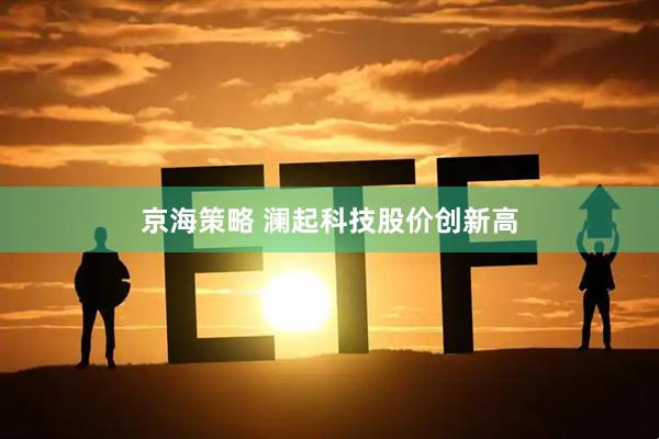 京海策略 澜起科技股价创新高