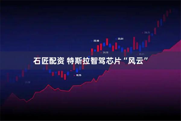 石匠配资 特斯拉智驾芯片“风云”